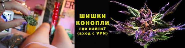 шишки Кущёвская