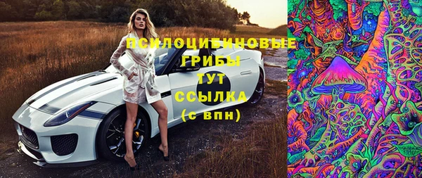 шишки Кущёвская