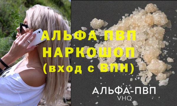 кокс Касимов