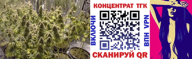 ТГК вейп с тгк  darknet наркотические препараты  Сортавала  где найти наркотики  kraken вход 